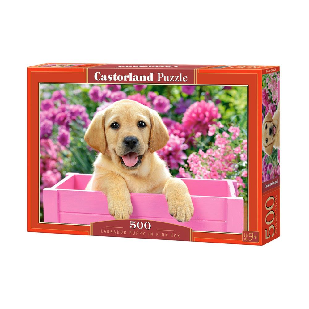Castorland, Бебе Лабрадор в розова кутия, пъзел 500 части