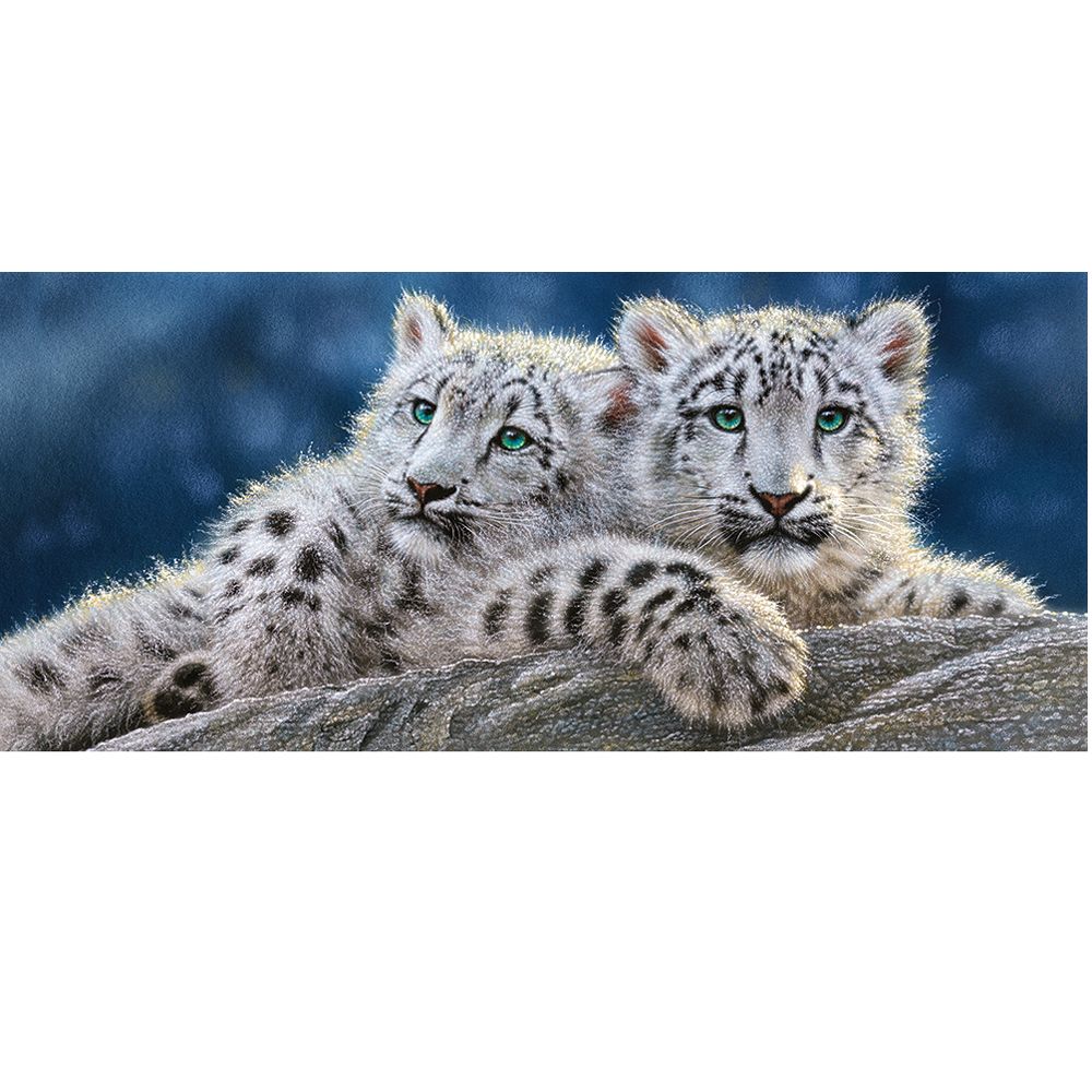 Двойка снежни леопарди, панорамен пъзел 600 части