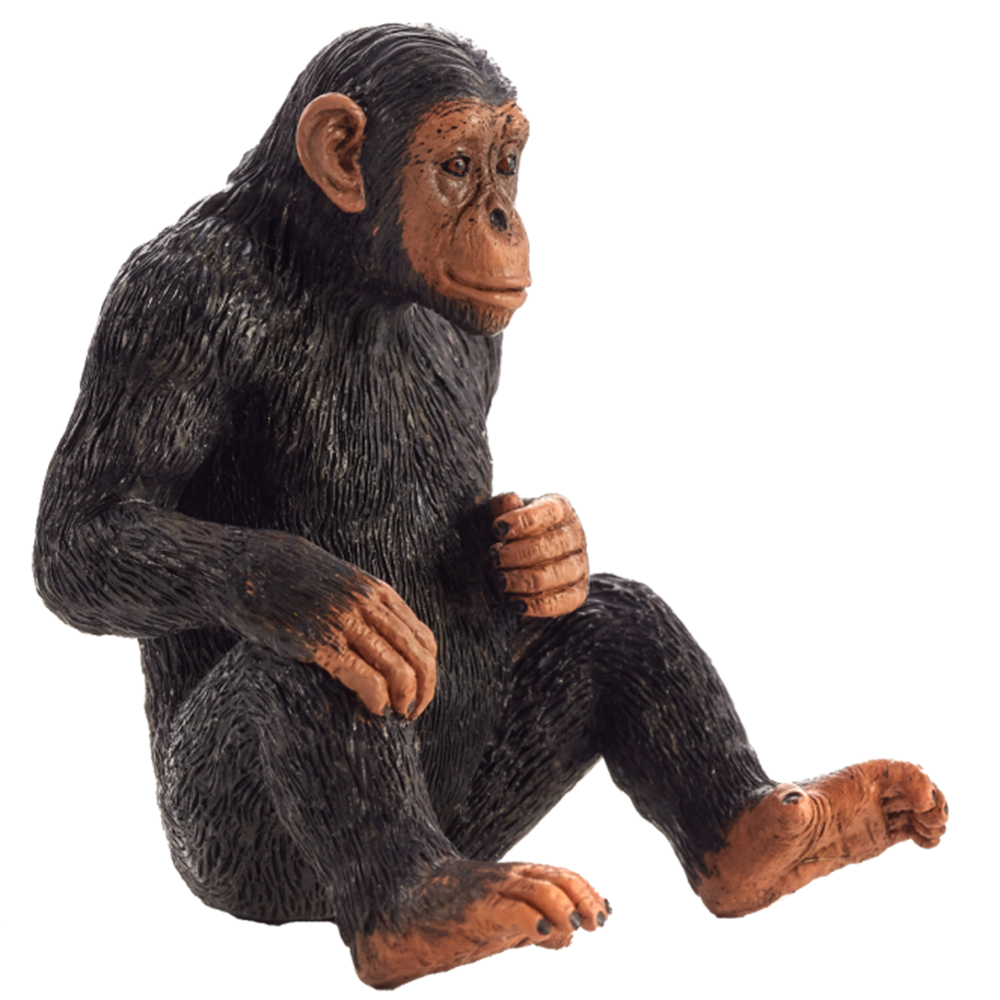 Mojo ANIMAL PLANET, Фигурка за игра и колекциониране, Шимпанзе