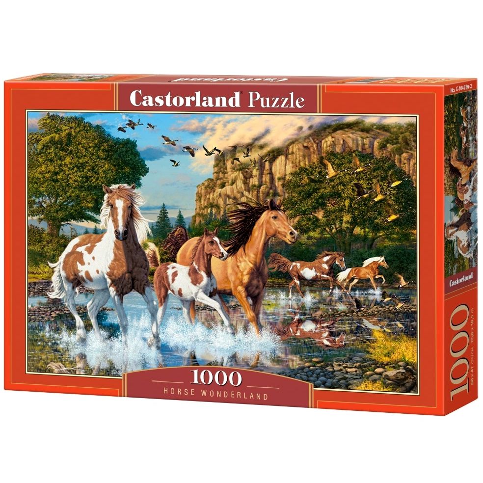 Castorland, Приказен свят, пъзел 1000 части