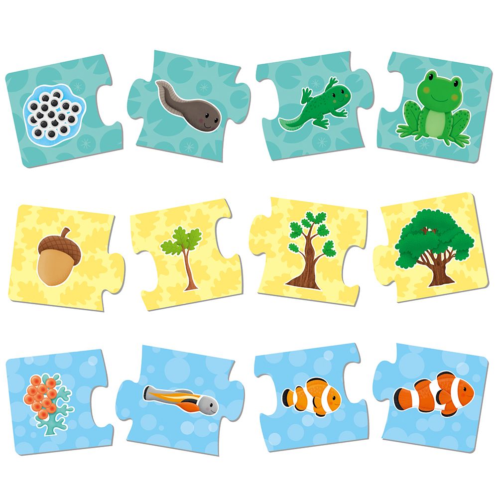 Произход на живите организми - 6 пъзела по 4 части