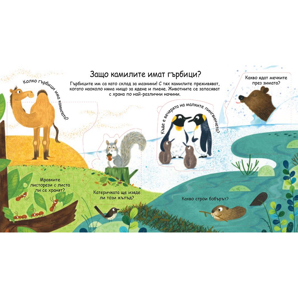 Защо тигрите имат ивици? Погледни под капачето!