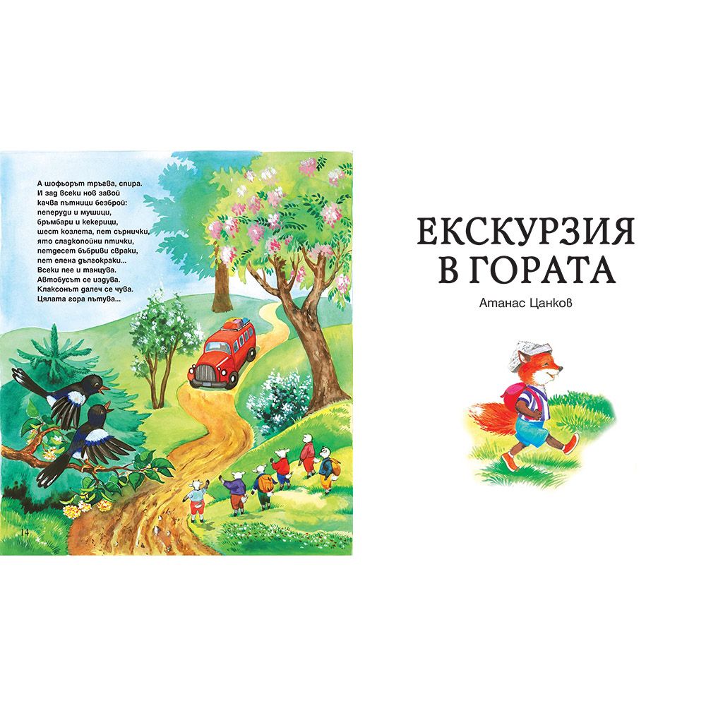 Автогара в гората, Екскурзия в гората