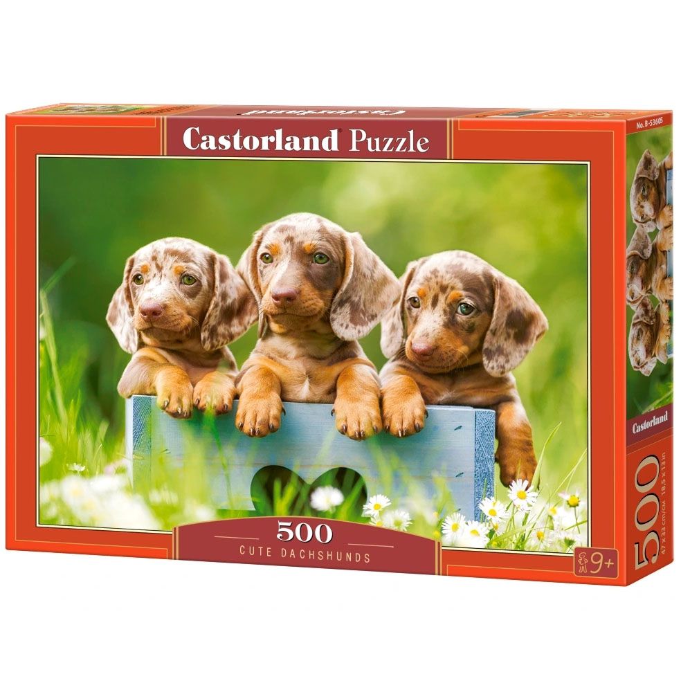 Castorland, Сладки дакели, пъзел 500 части