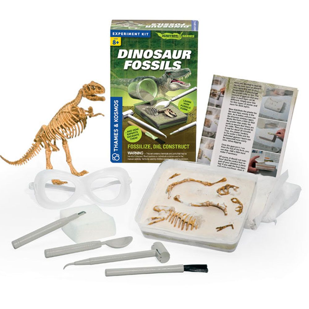 Динозавърски вкаменелости