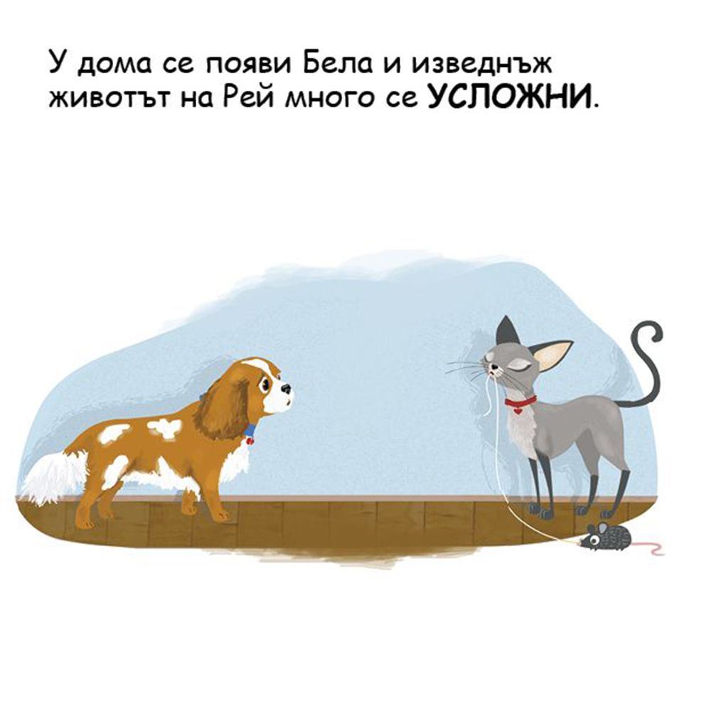 Рей и промяната