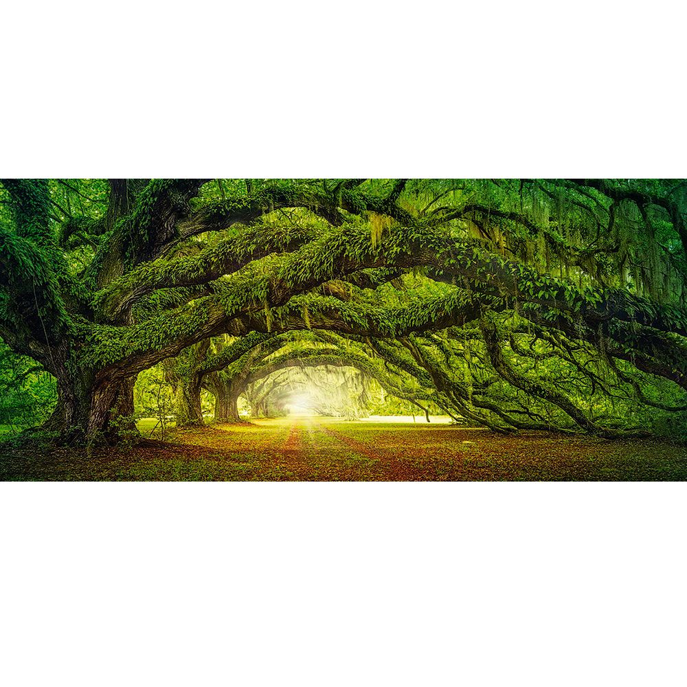 Път в гората, панорамен пъзел 600 части