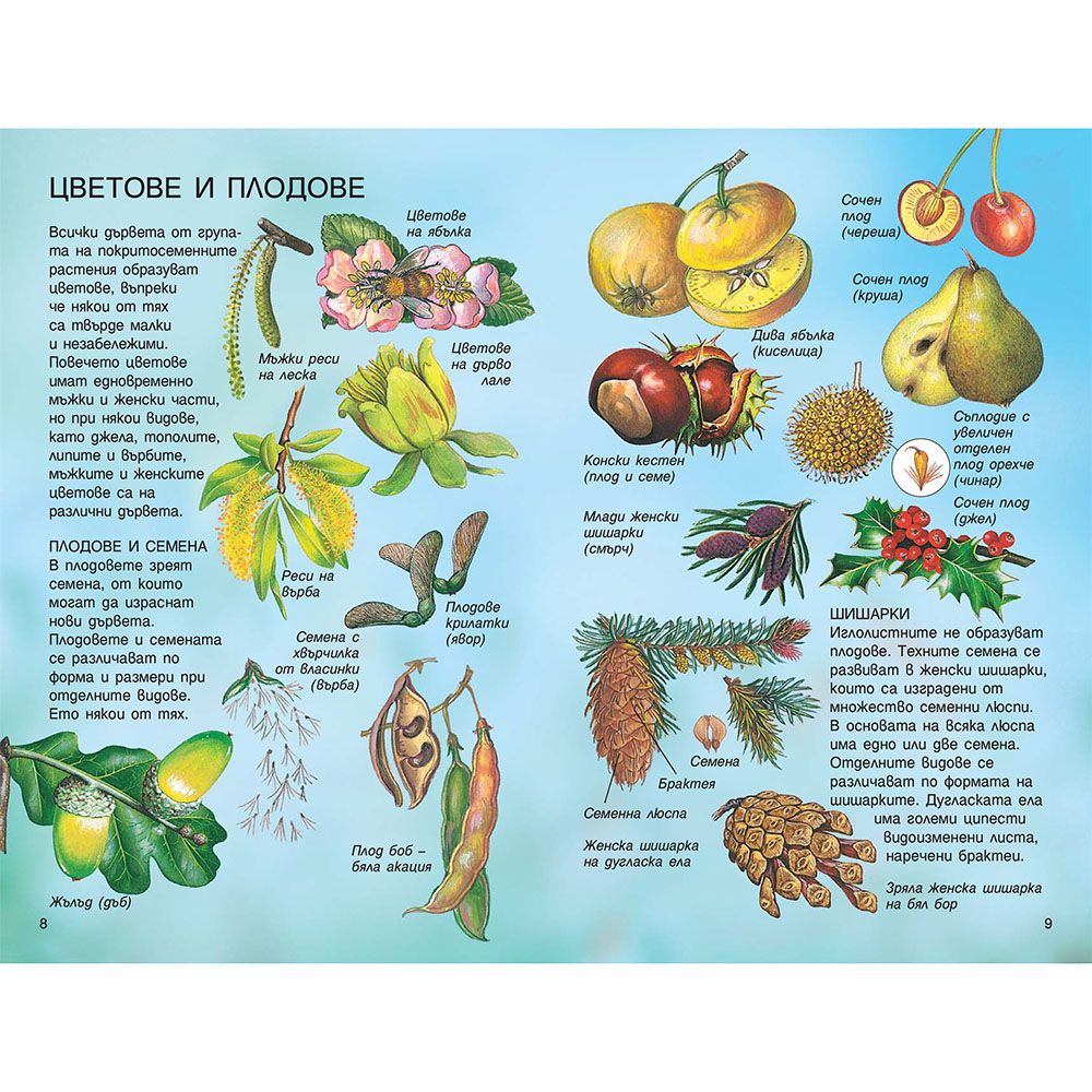 Справочник на наблюдателя, Дърветата