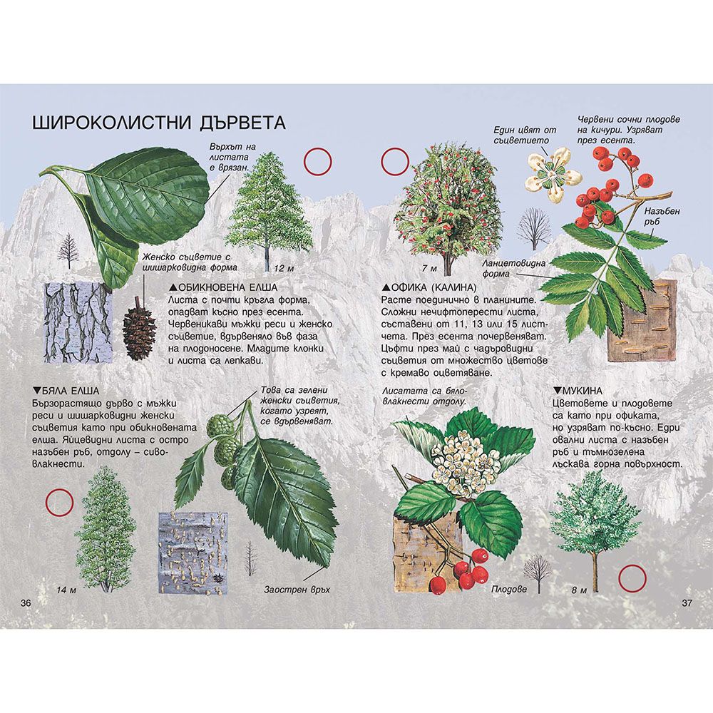 Справочник на наблюдателя, Дърветата