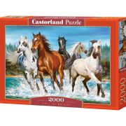 Повик от природата, пъзел 2000 части