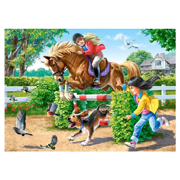 Уроци по езда, пъзел 108 чаcти