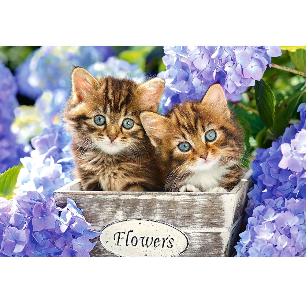 Сладки котета, пъзел 1500 части