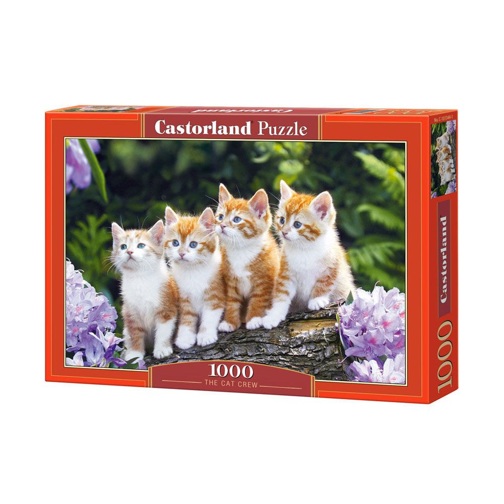 Castorland, Котенца, пъзел 1000 части