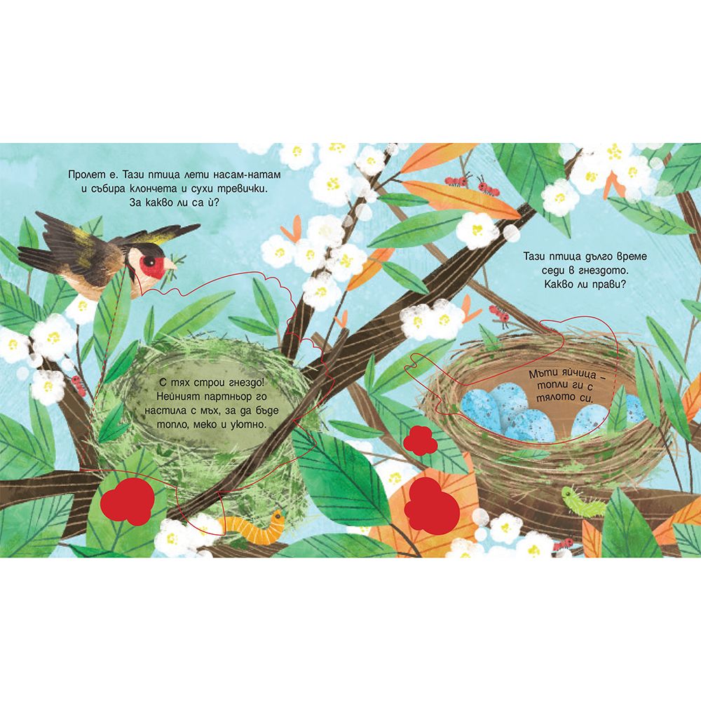 Гнездата на птиците