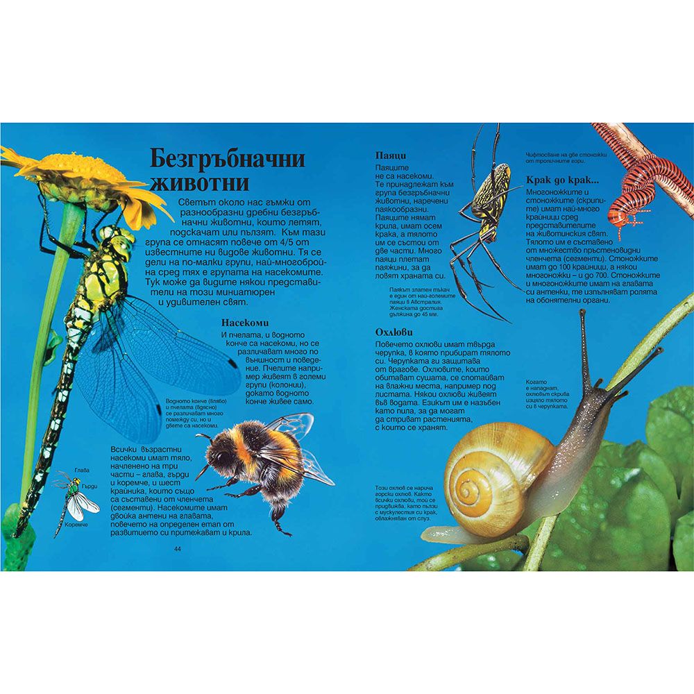 Моята първа енциклопедия за животните