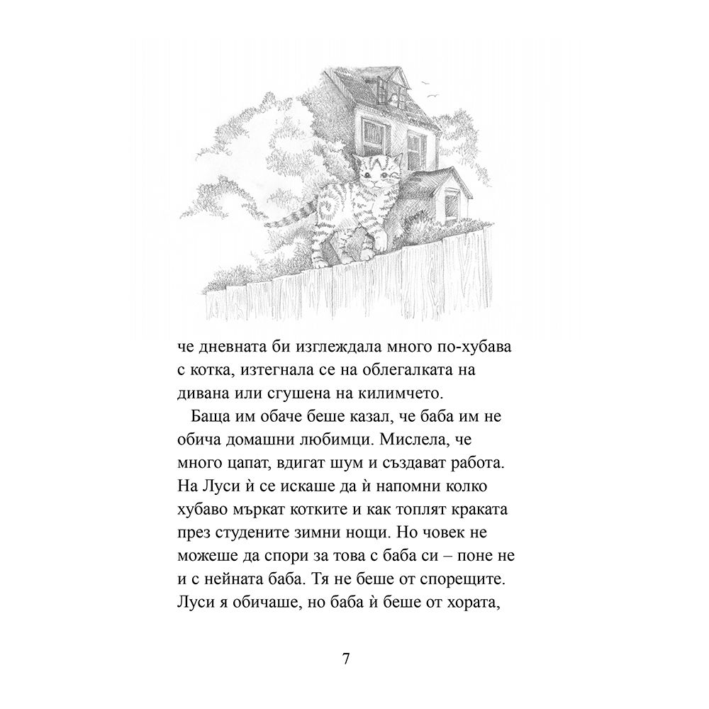 Тайното котенце