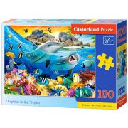 Делфини в тропиците, пъзел 100 части