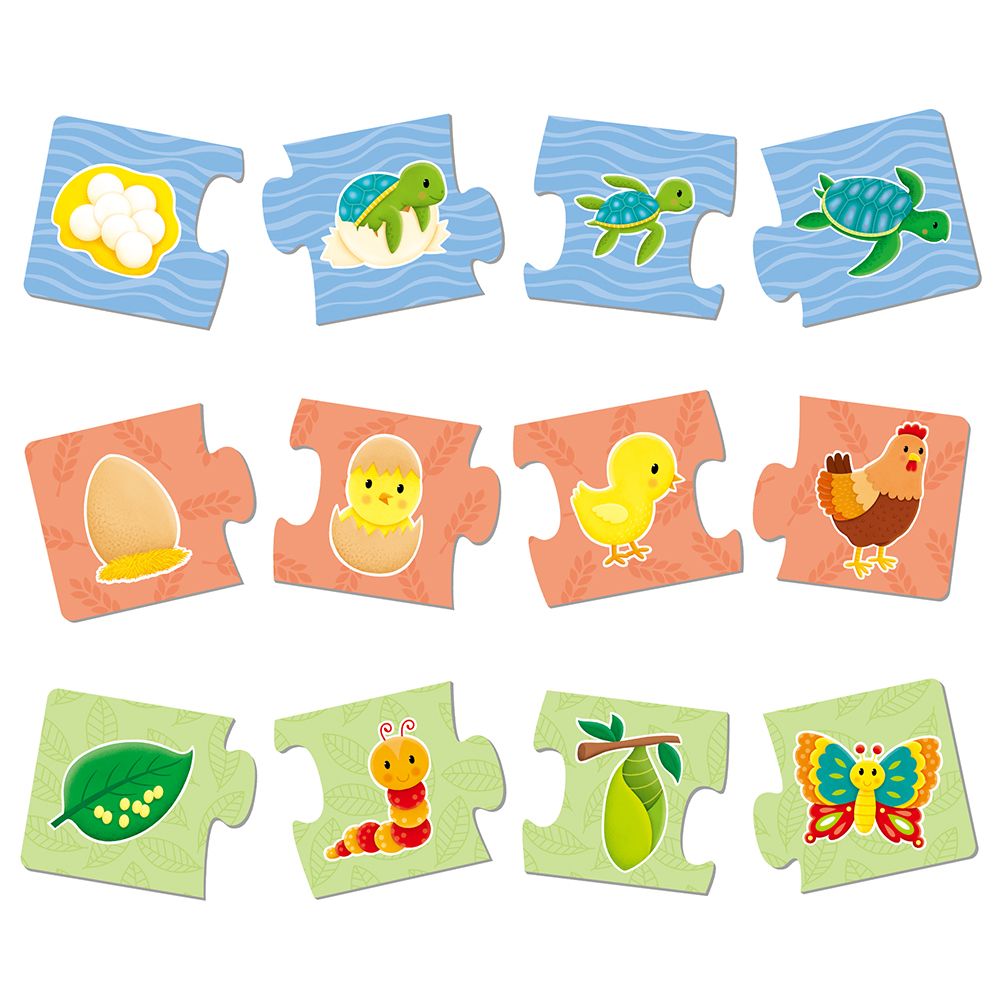 Произход на живите организми - 6 пъзела по 4 части