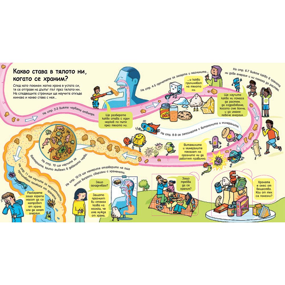 Пътят на храната в тялото ни