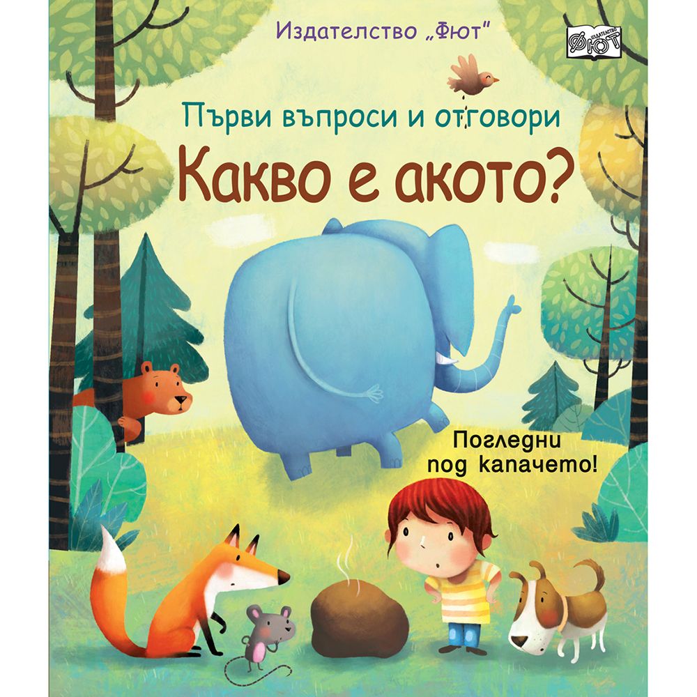 Първи въпроси и отговори, Какво е акото? Погледни под капачето!, Издателство Фют