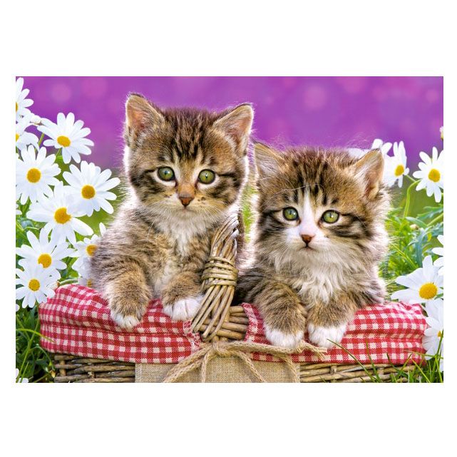 Котета в кошничка, пъзел 70 чаcти