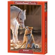 Уникално приятелство, пъзел 1000 части