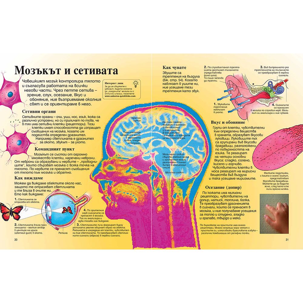 Моята първа енциклопедия за науката