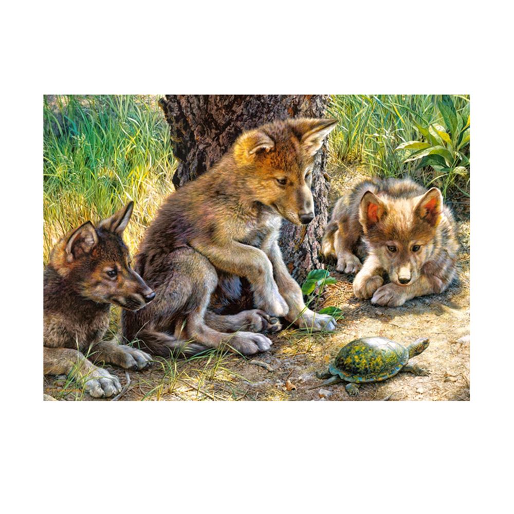 Игра с костенурка, пъзел 260 части