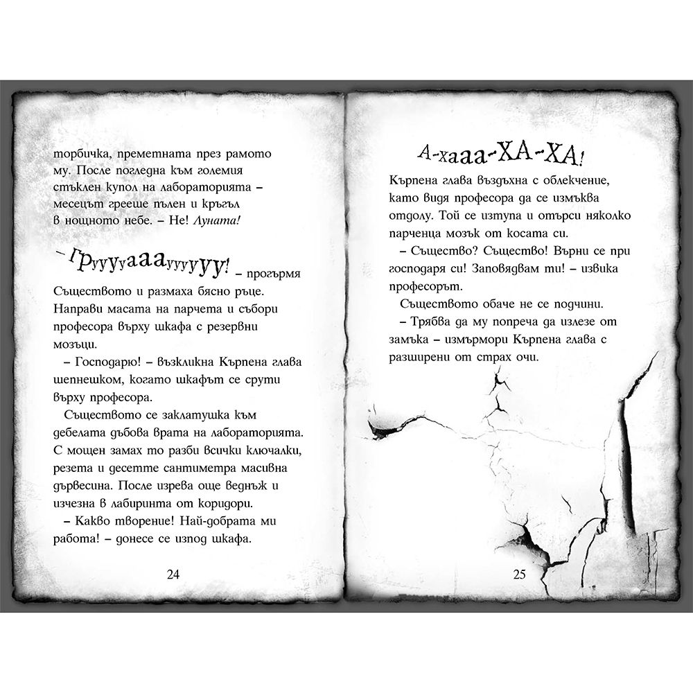 Кърпена глава, книга 1