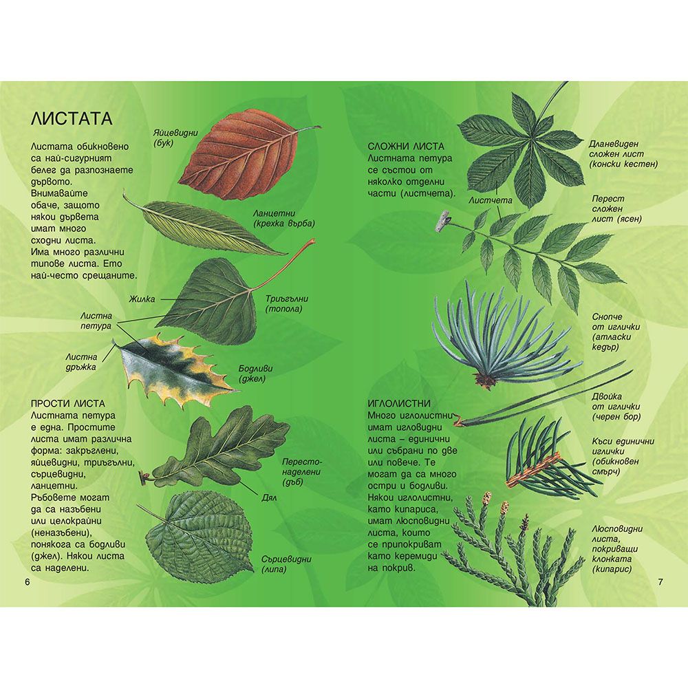 Справочник на наблюдателя, Дърветата