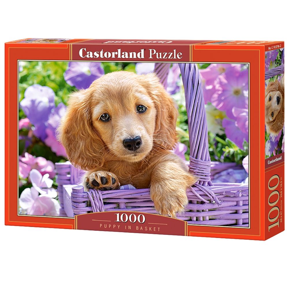 Castorland, Малко сладко куче в кошница, пъзел 1000 части