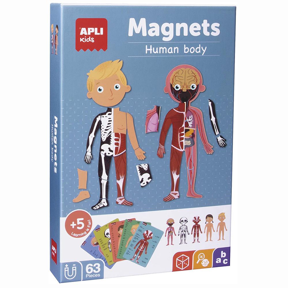 Apli kids, Магнитна дидактическа игра, Опознай тялото си