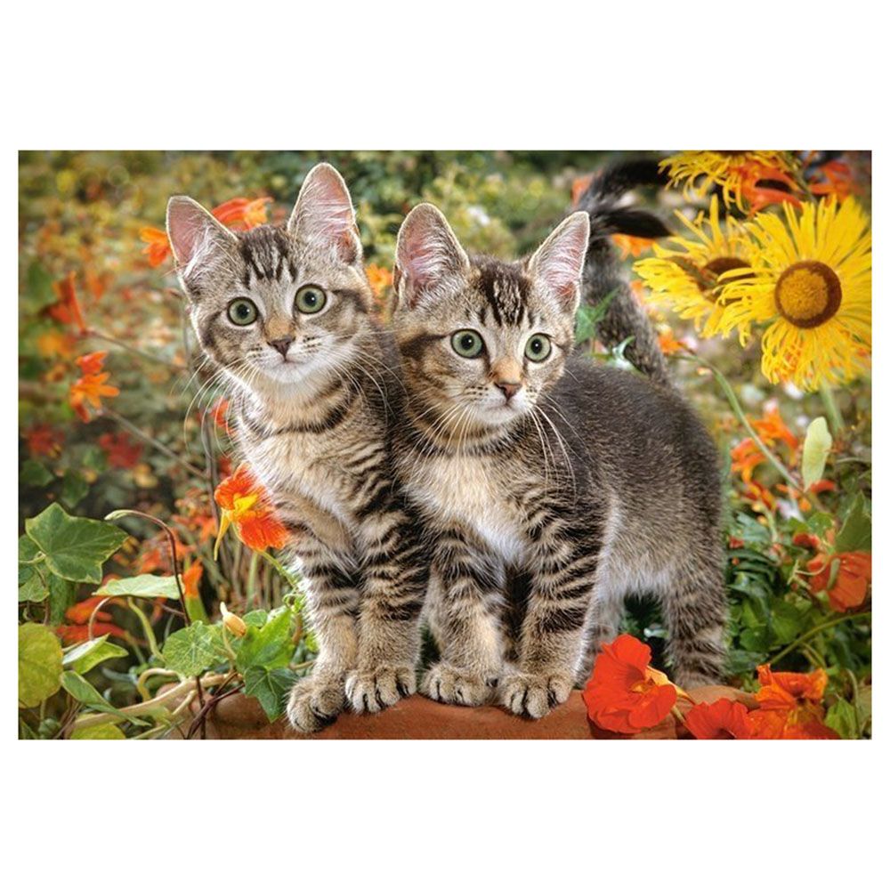 Котета приятели, пъзел 1500 части