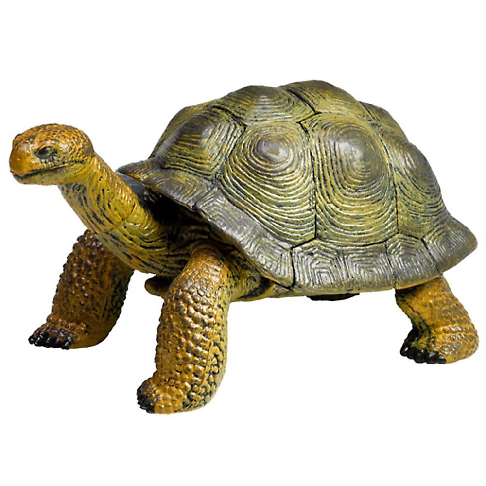 3D пъзел, Галапагоска костенурка, 27 части