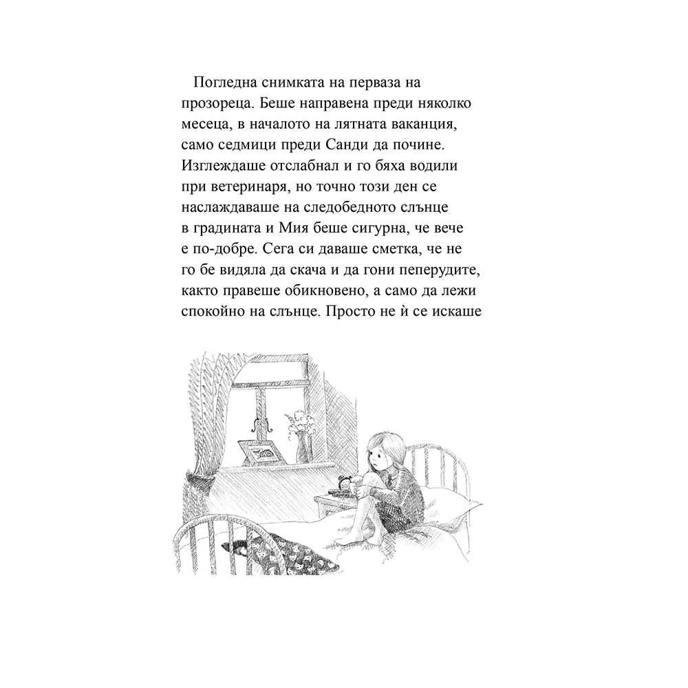 Котето, което никой не искаше