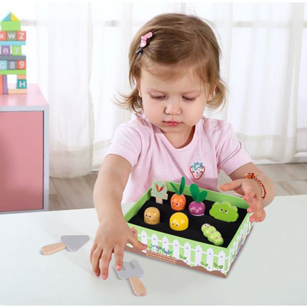 Моята малка зеленчукова градина