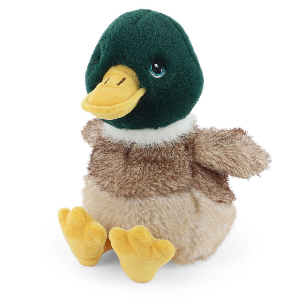 Keeleco, Зеленоглава патица, 18 см, Keel Toys
