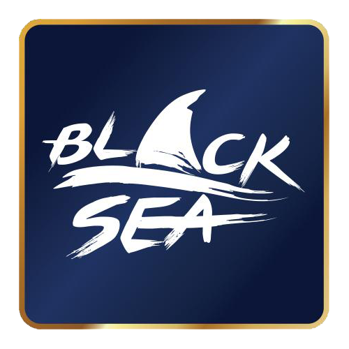 Black Sea Puzzles