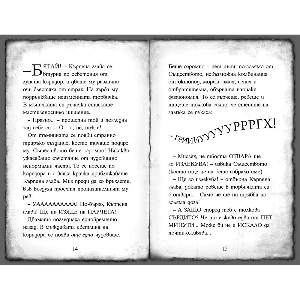 Окото на пирата, книга 2