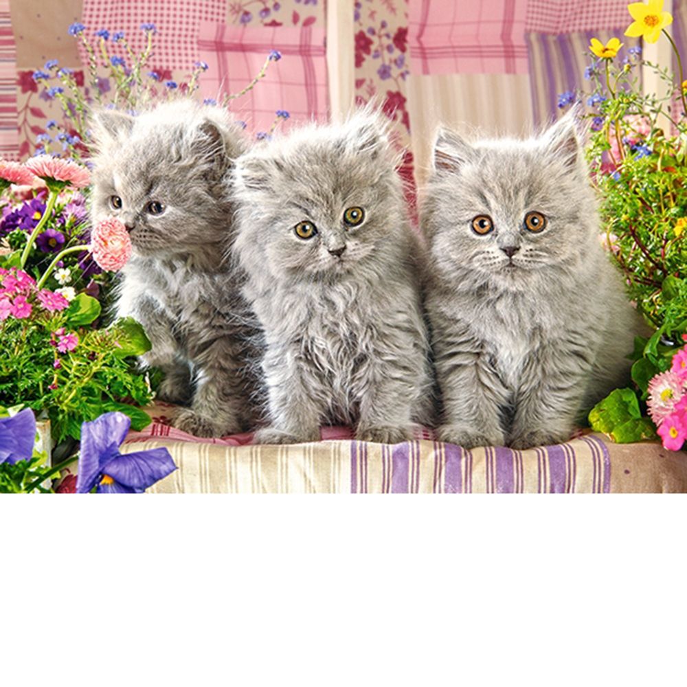 Три сиви котенца, пъзел 260 части