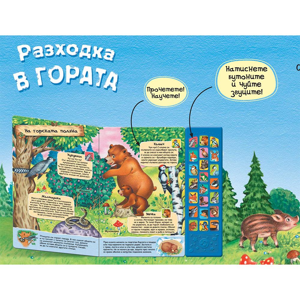 Разходка в гората
