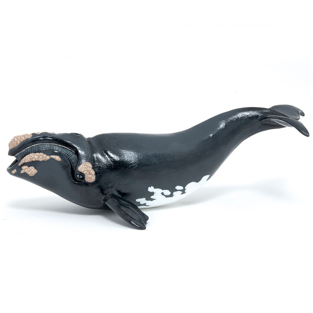 Морски обитатели, Фигурка за игра и колекциониране, Гренландски кит, Papo
