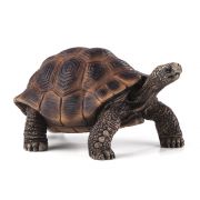 Гигантска костенурка