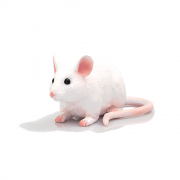 Фигурка за игра и колекциониране, Бяла мишка