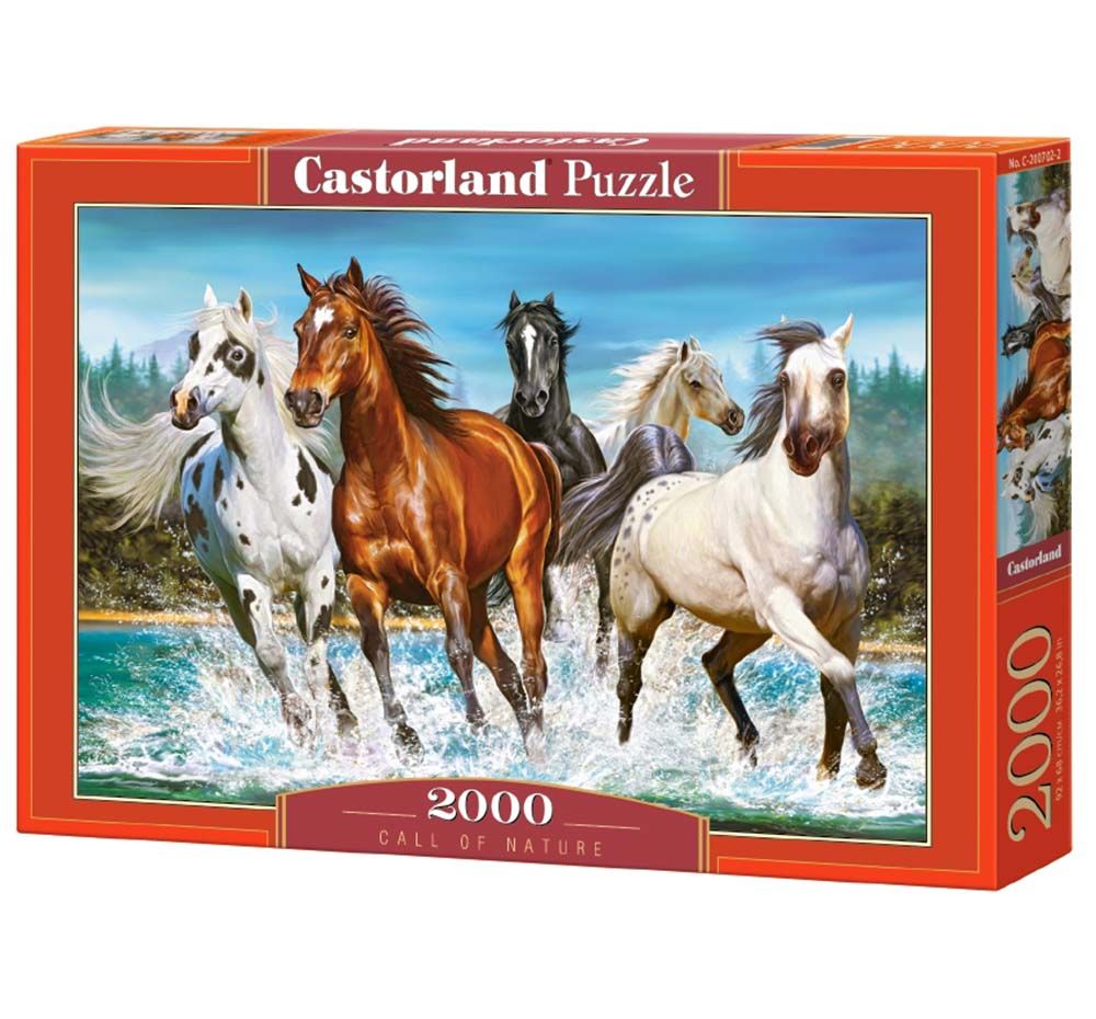 Castorland, Повик от природата, пъзел 2000 части