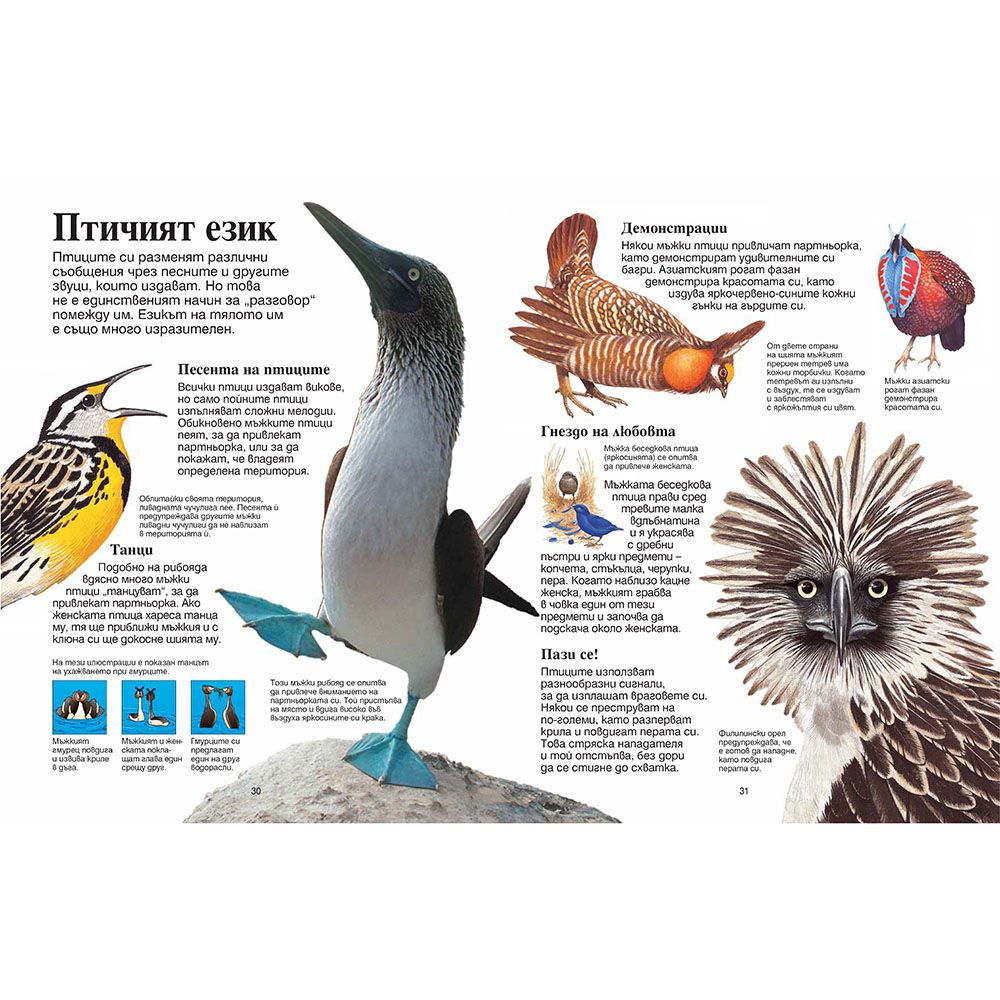 Моята първа енциклопедия за животните