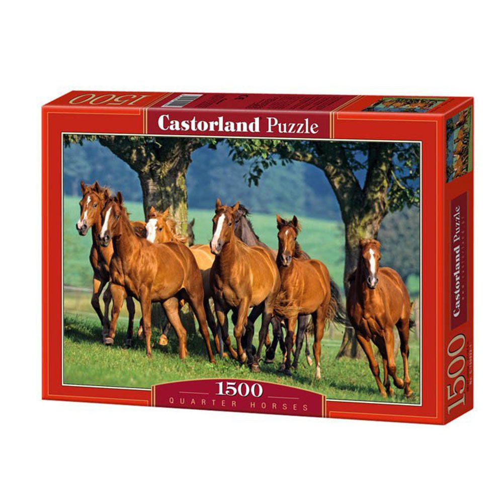 Castorland, Коне, пъзел 1500 части