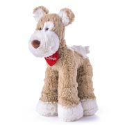 Куче териер, Каламити