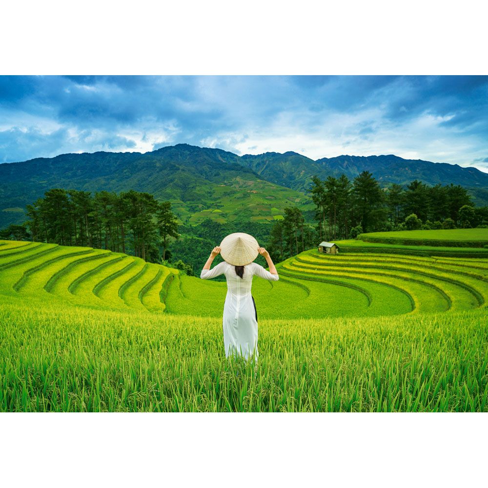 Оризови полета във Виетнам, пъзел 1000 части