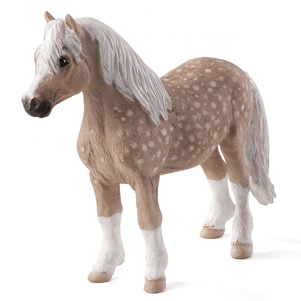 Mojo ANIMAL PLANET, Уелско пони